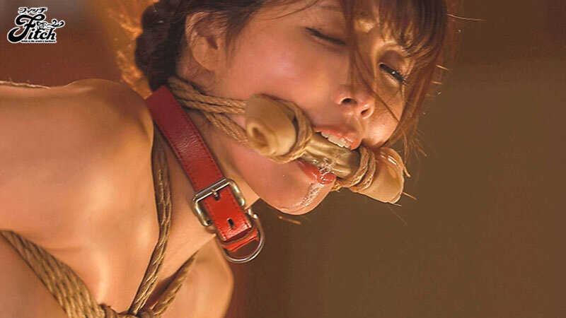 緊縛レビュー：新村あかり｜高飛車女社長を麻縄緊縛で屈辱の女犬調教 老獪なSM調教で巨乳女が動物に成り下がるまで…